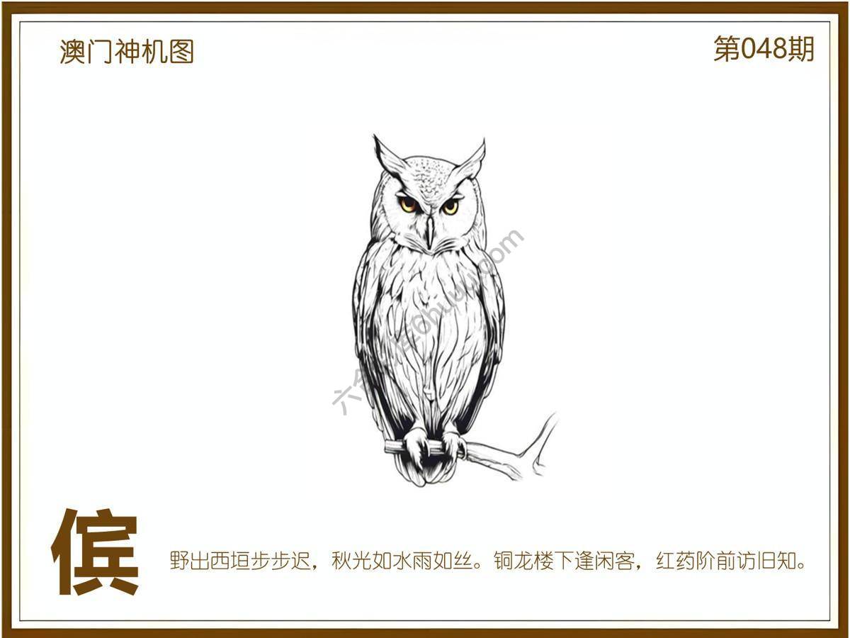 澳门神机图