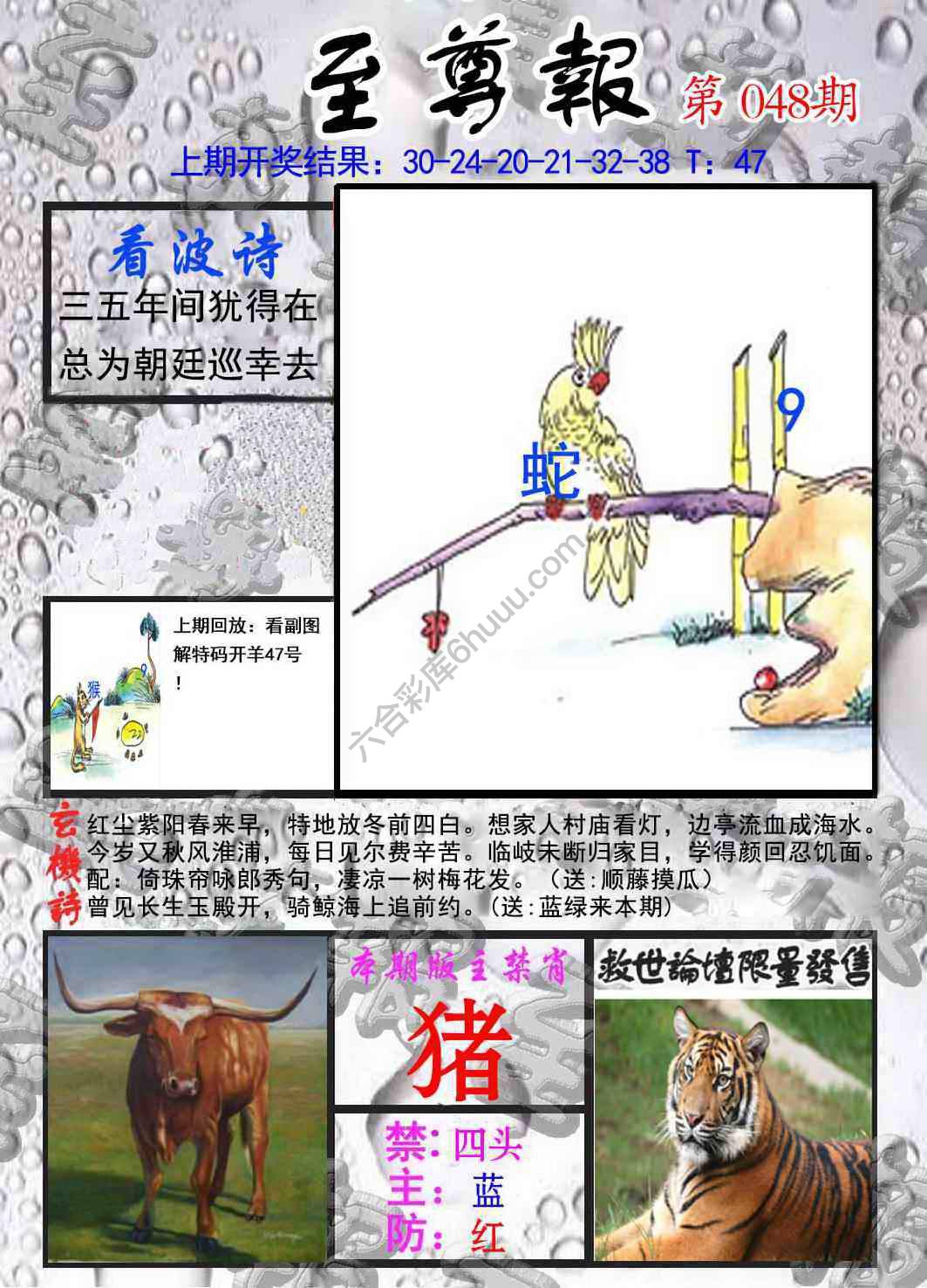 至尊报