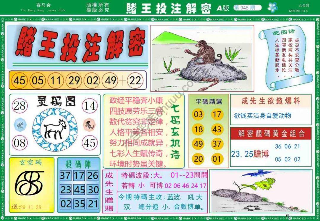 赌王投注解密