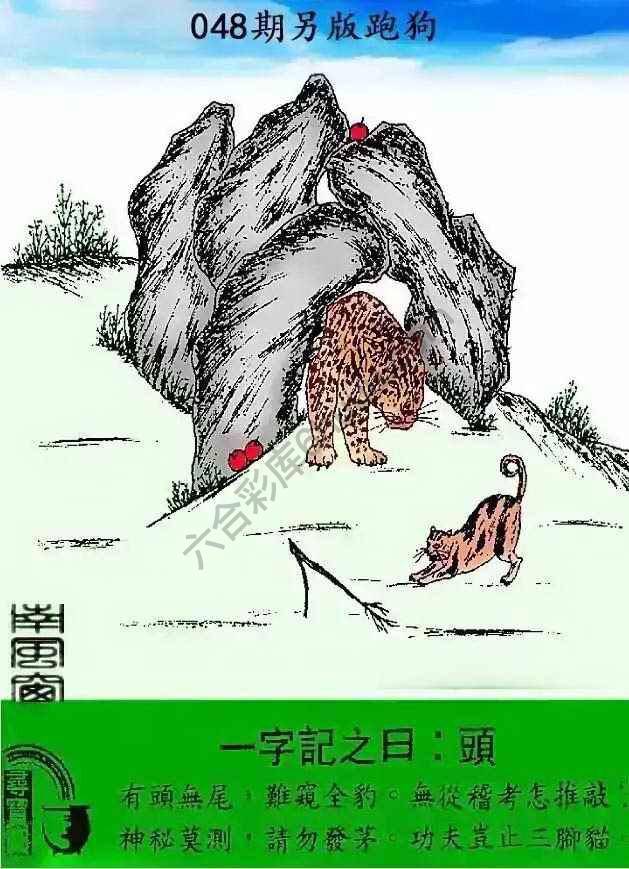 另版跑狗