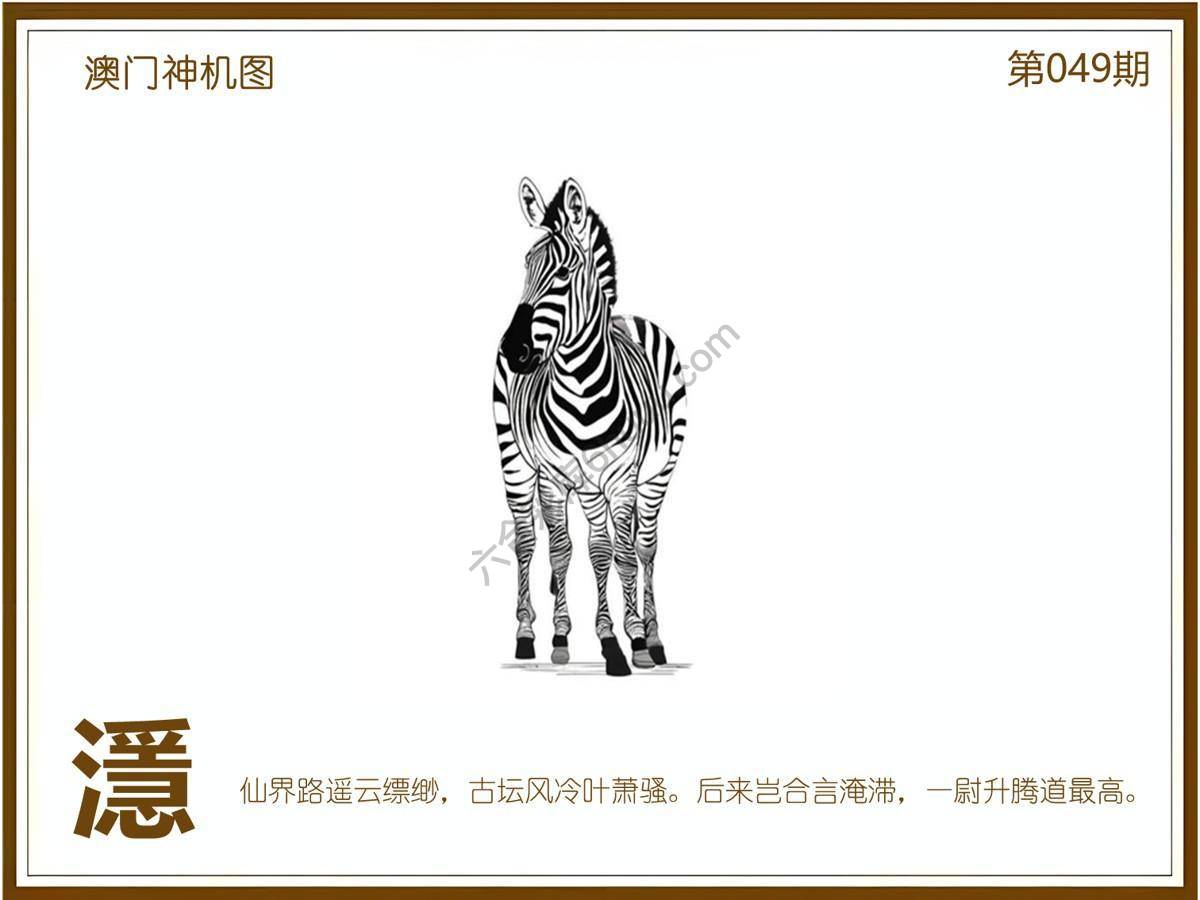 澳门神机图