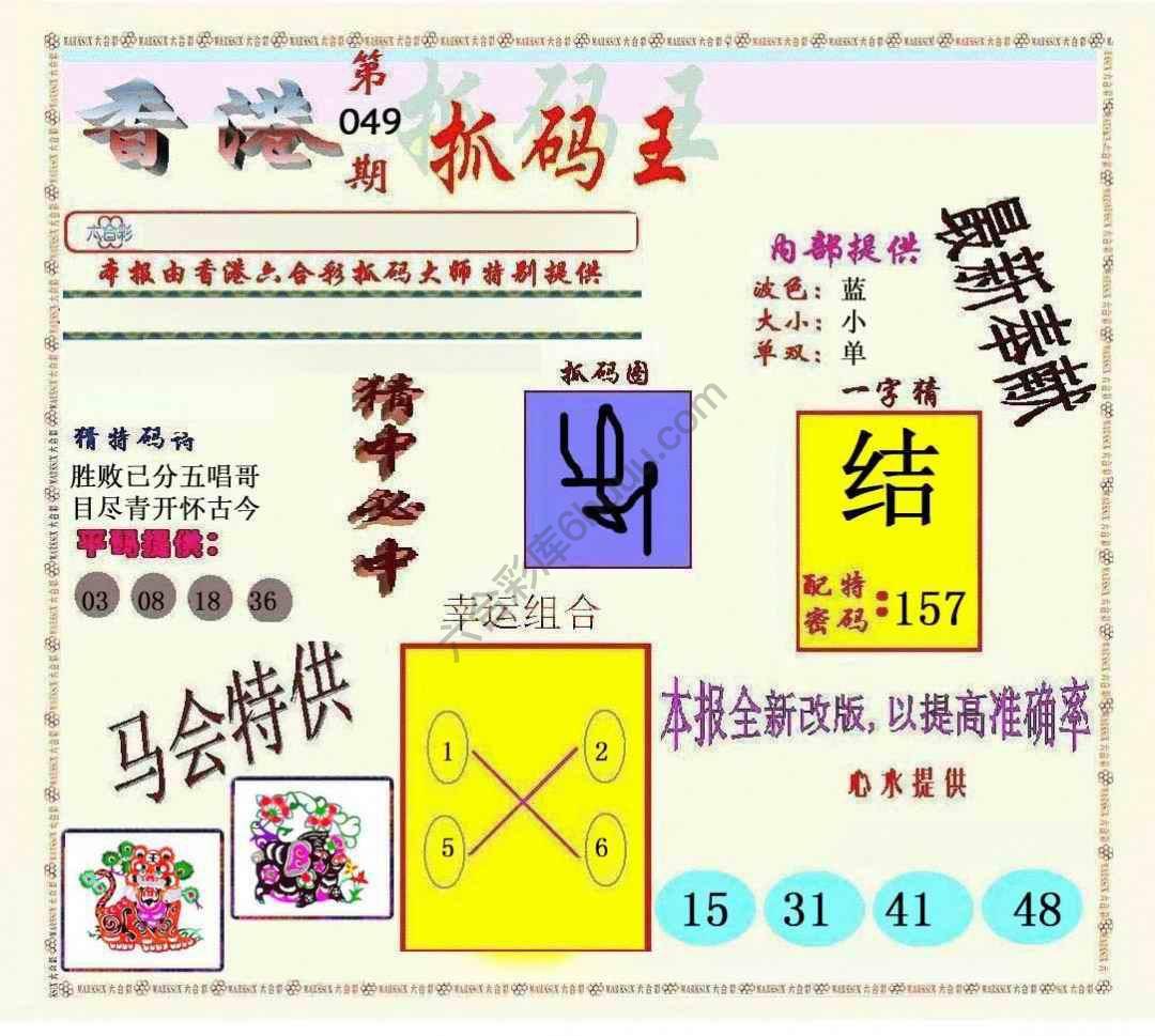 新抓码王