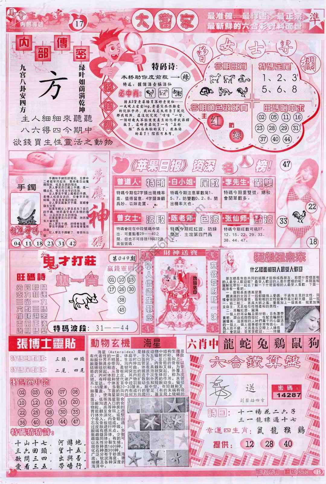 大当家