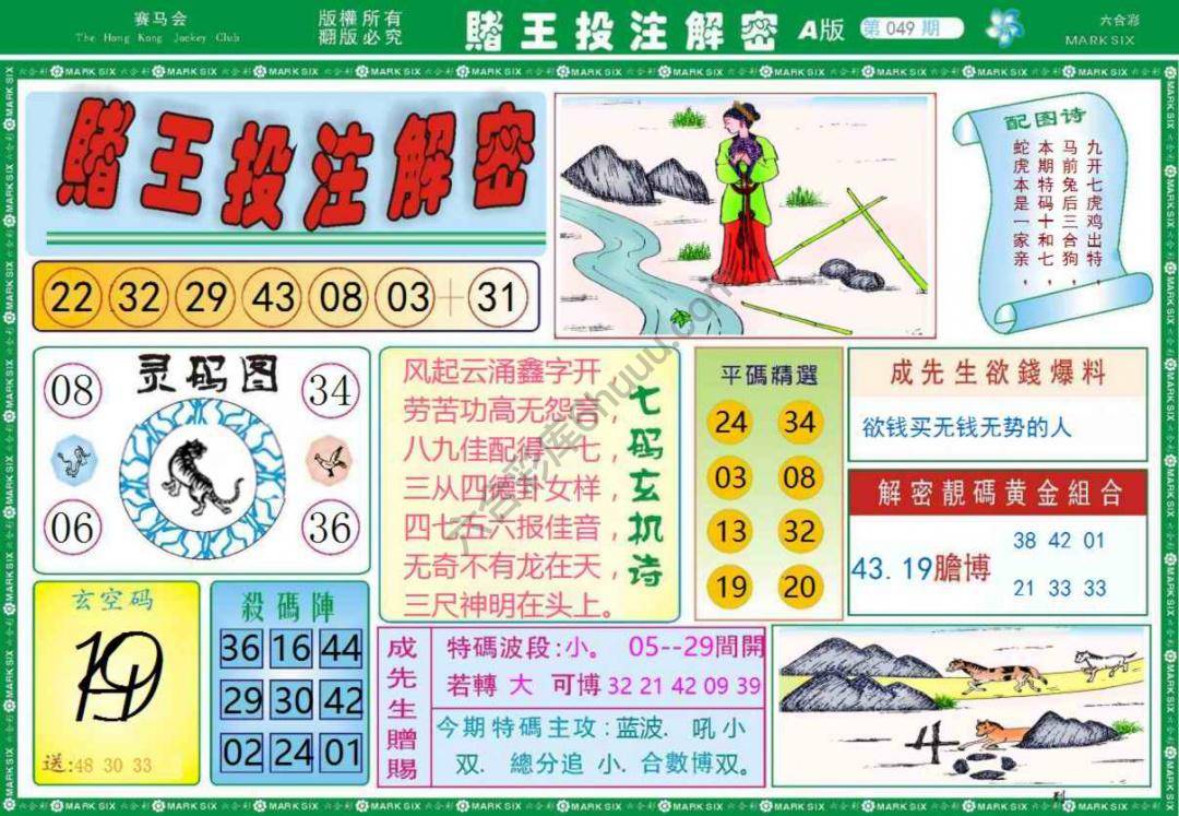 赌王投注解密