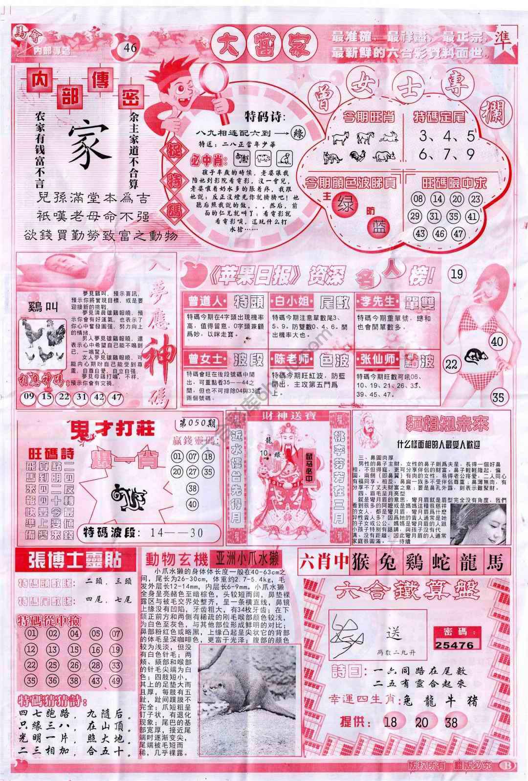 大当家