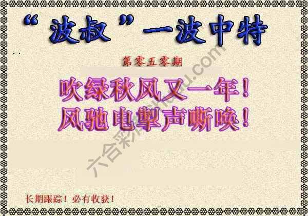 波叔一波中特