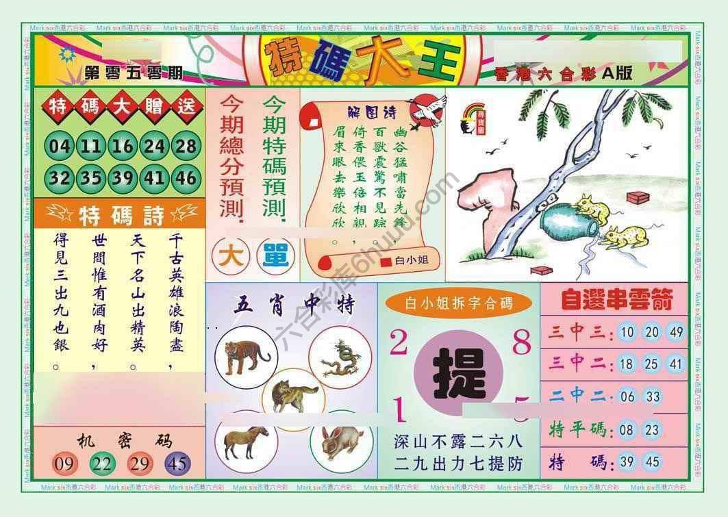 特码大王