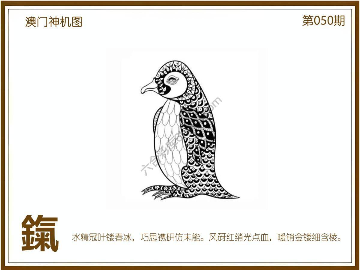 澳门神机图