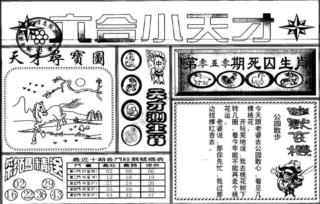 六合小天才