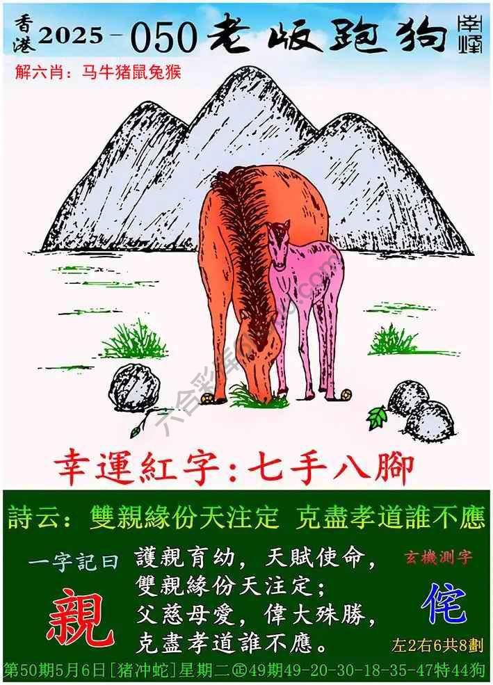 老版跑狗图