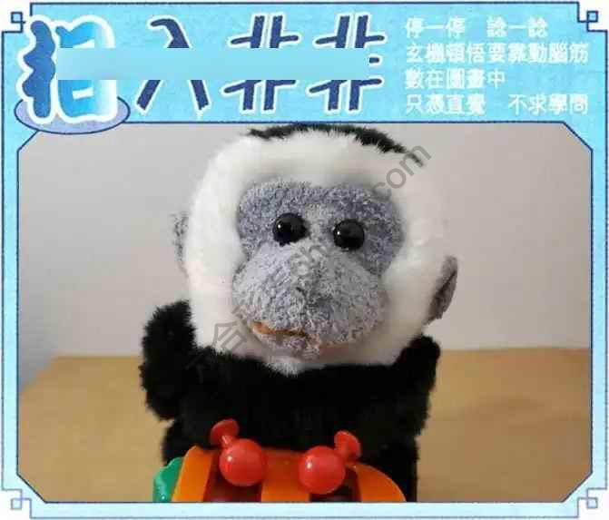 相入非非