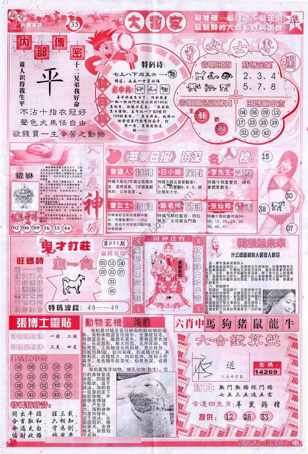 大当家