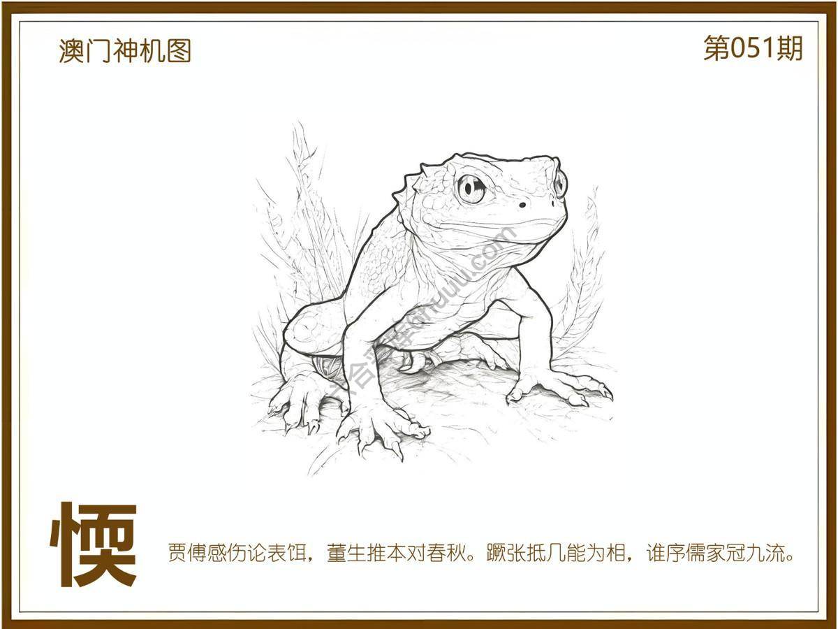 澳门神机图