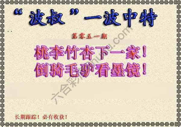 波叔一波中特