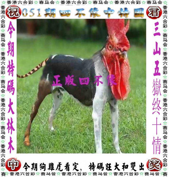 四不像中特图