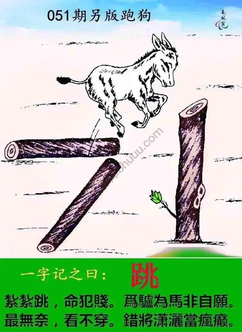 另版跑狗