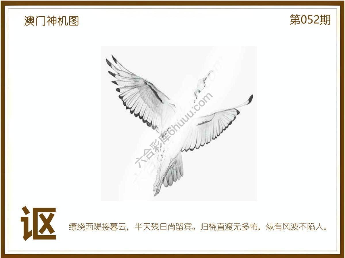 澳门神机图