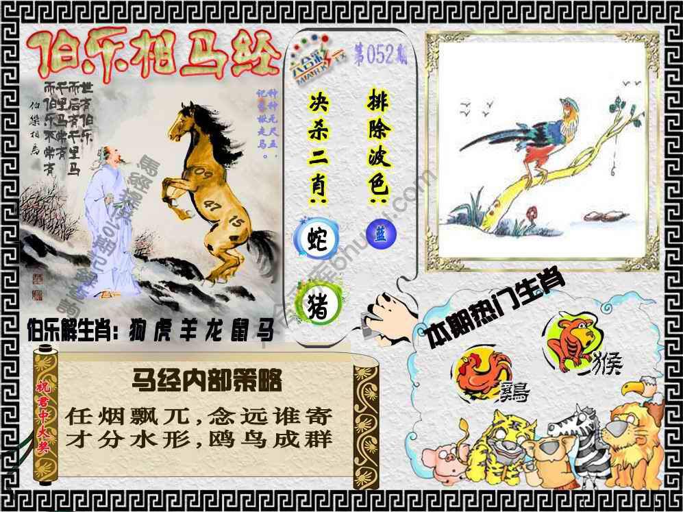 伯乐相马经