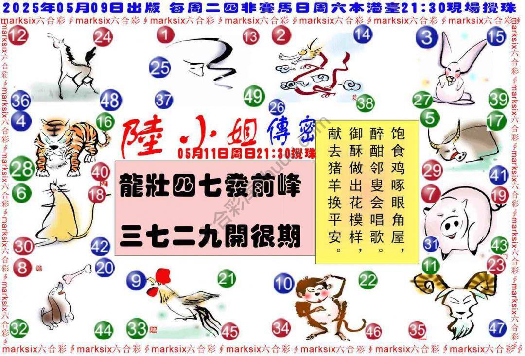 陆小姐传密