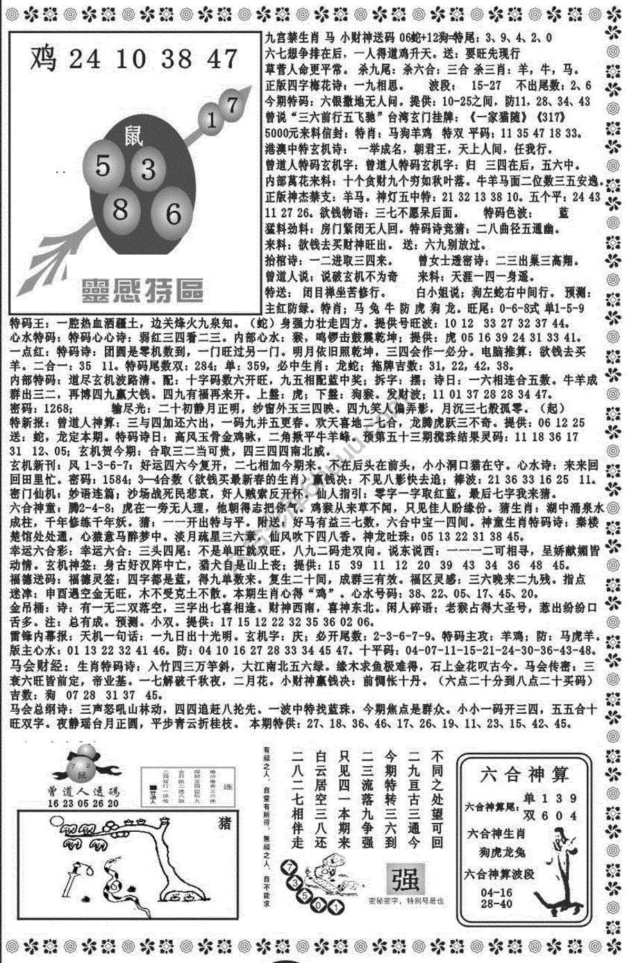 新香港彩霸王