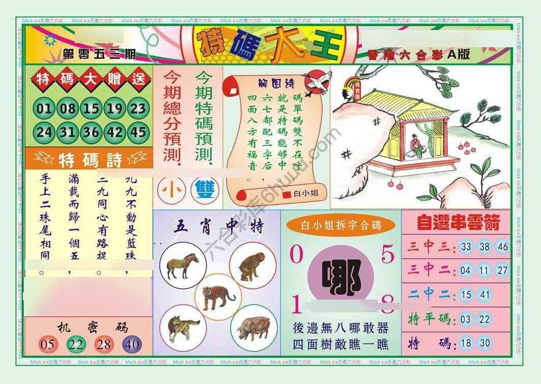 特码大王