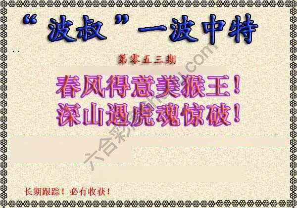 波叔一波中特