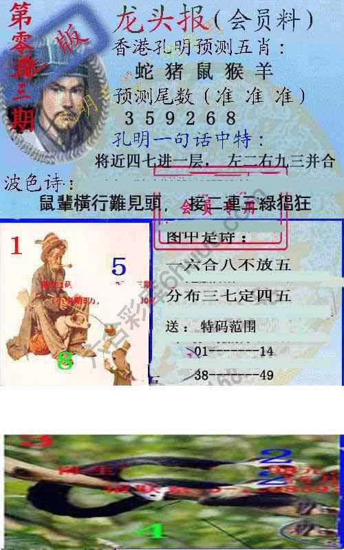 龙头报