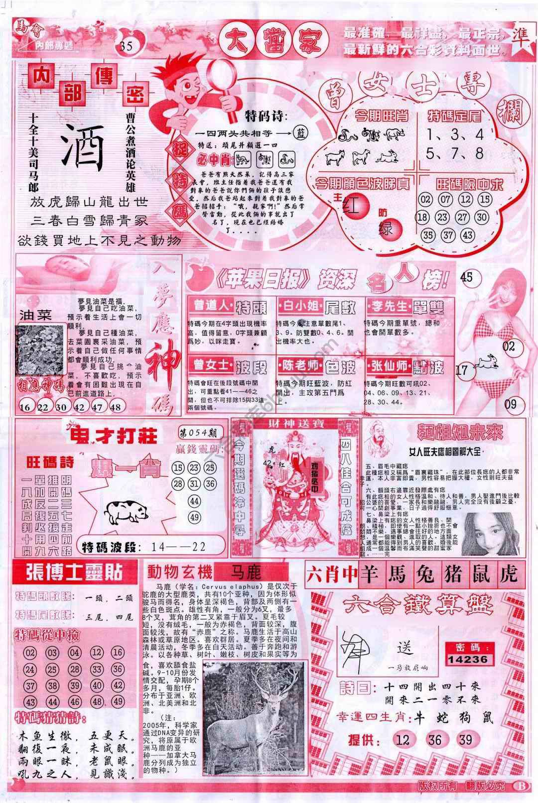 大当家