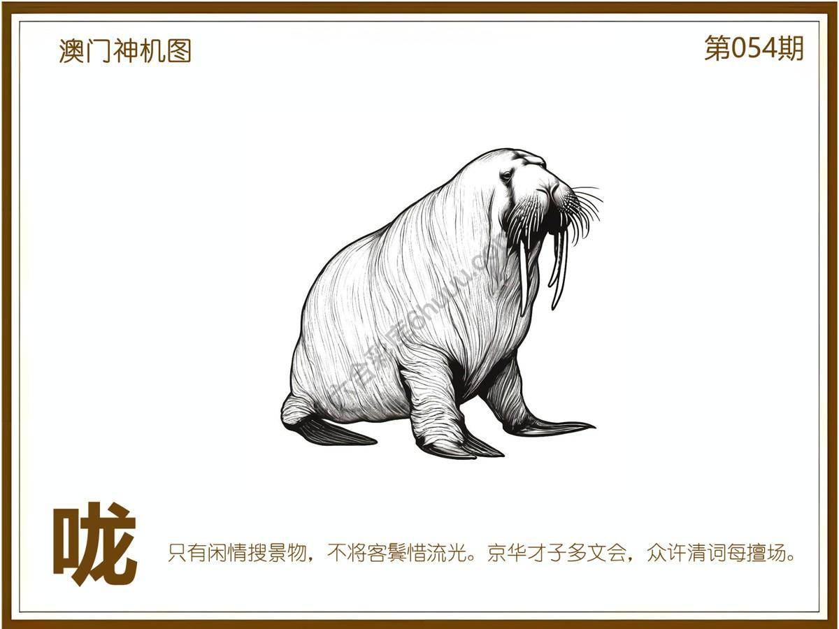澳门神机图