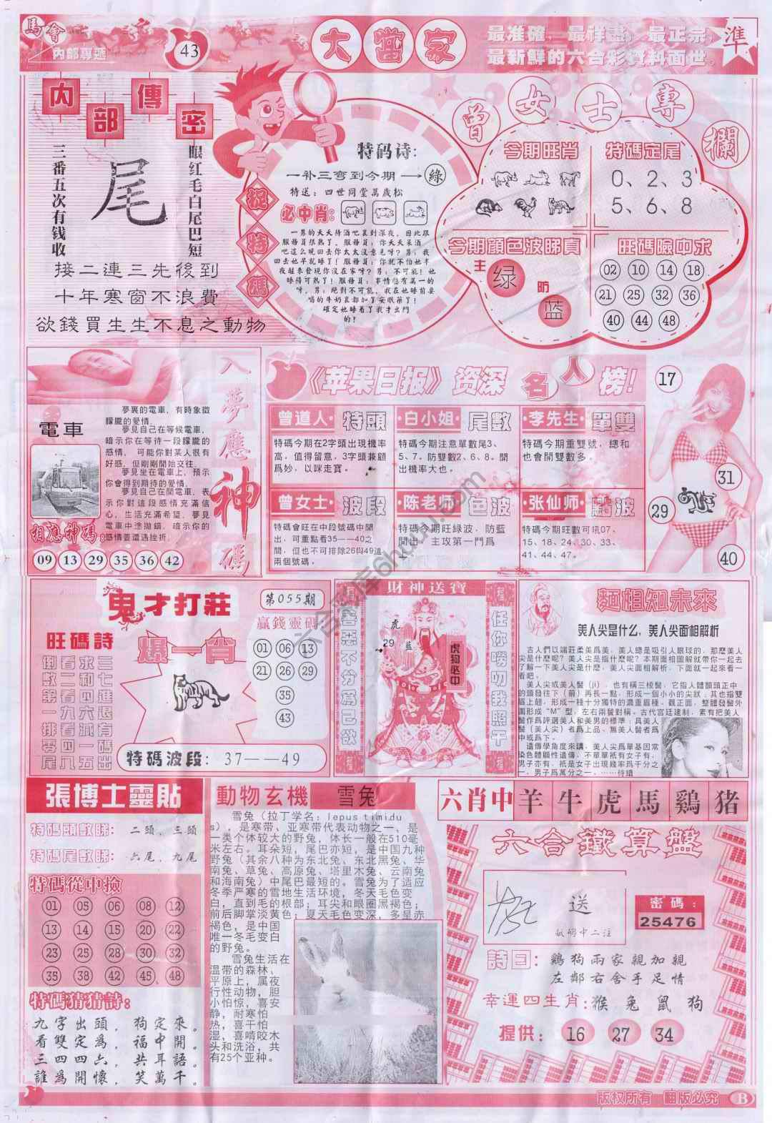 大当家