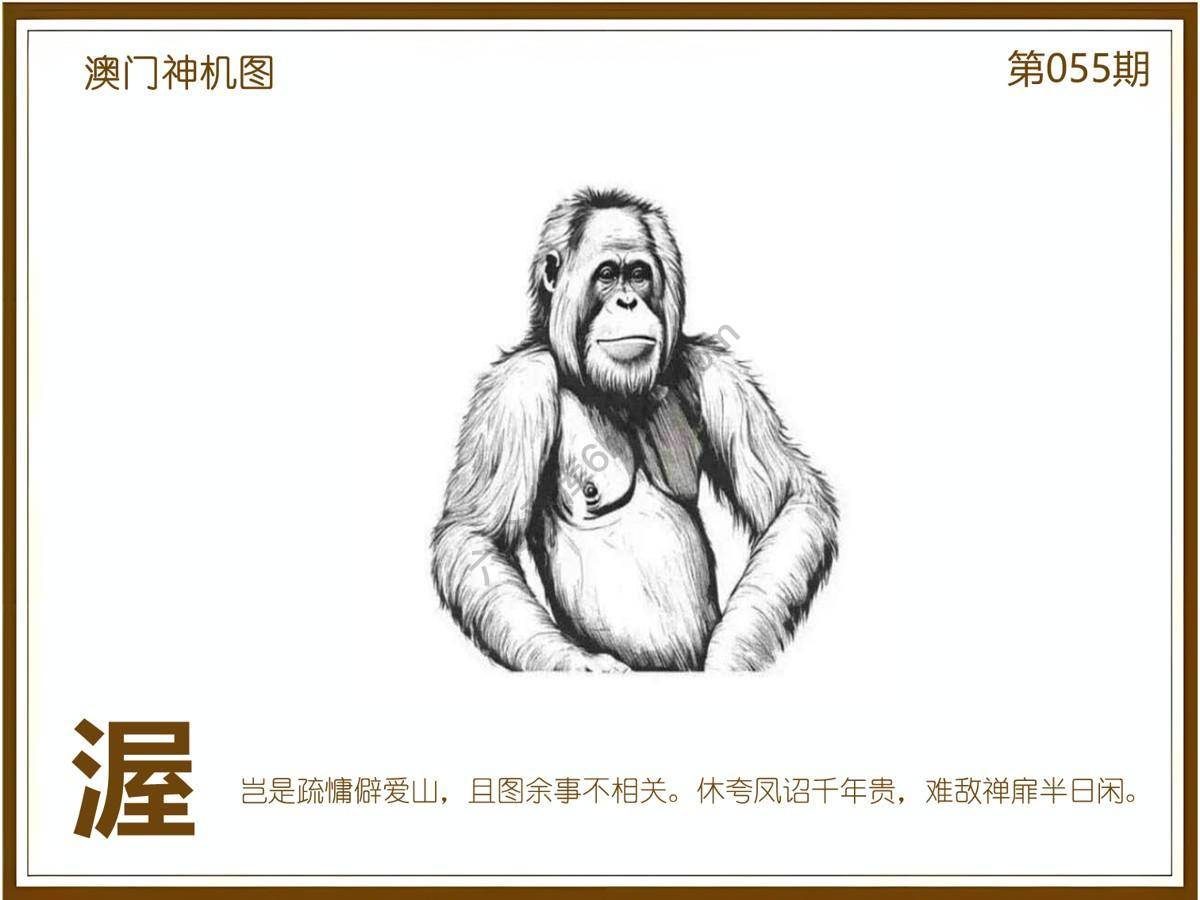 澳门神机图