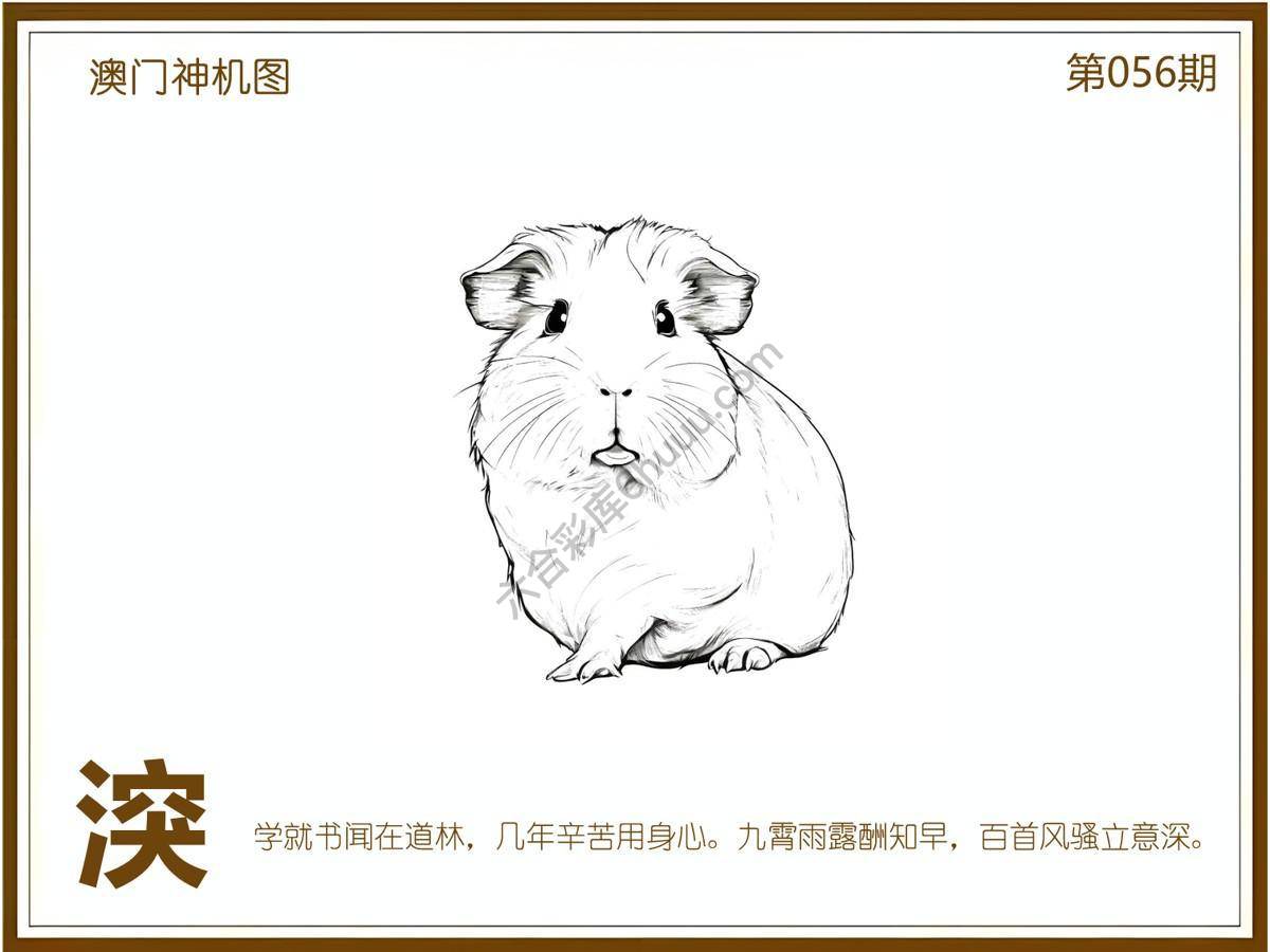 澳门神机图