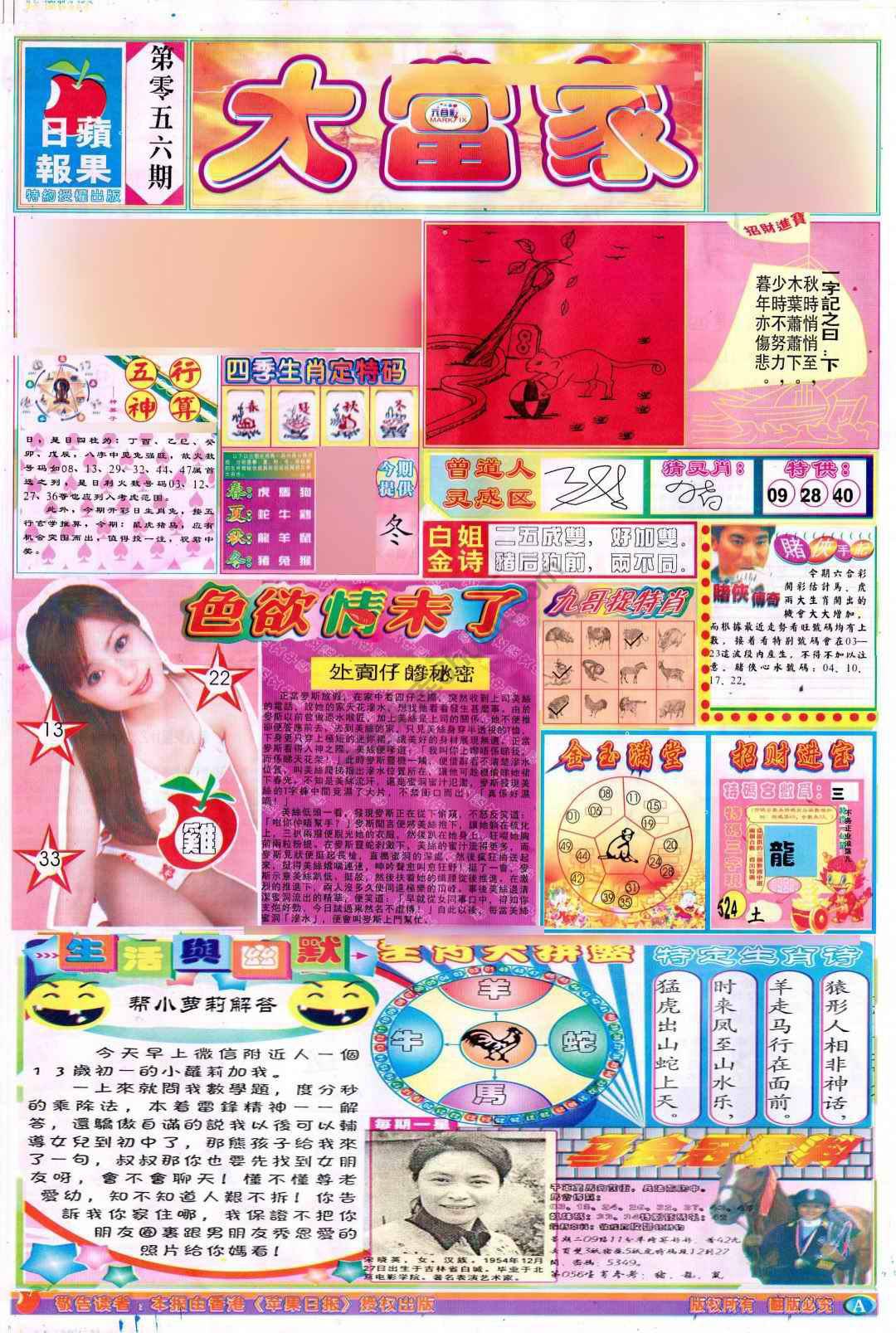 大当家