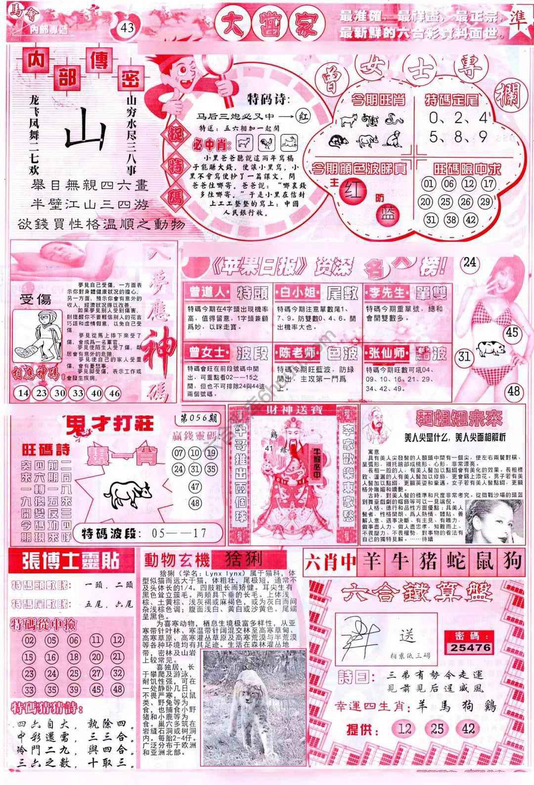 大当家