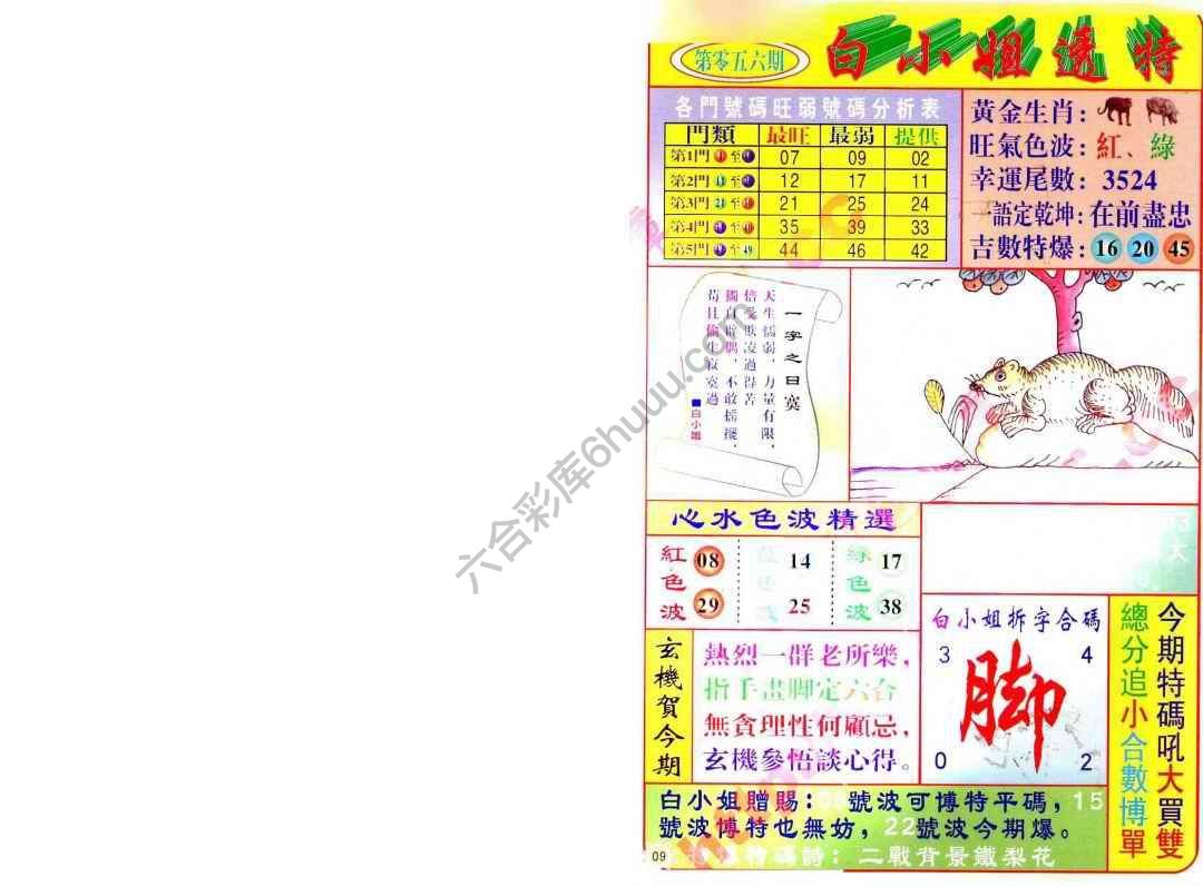 白小姐透特