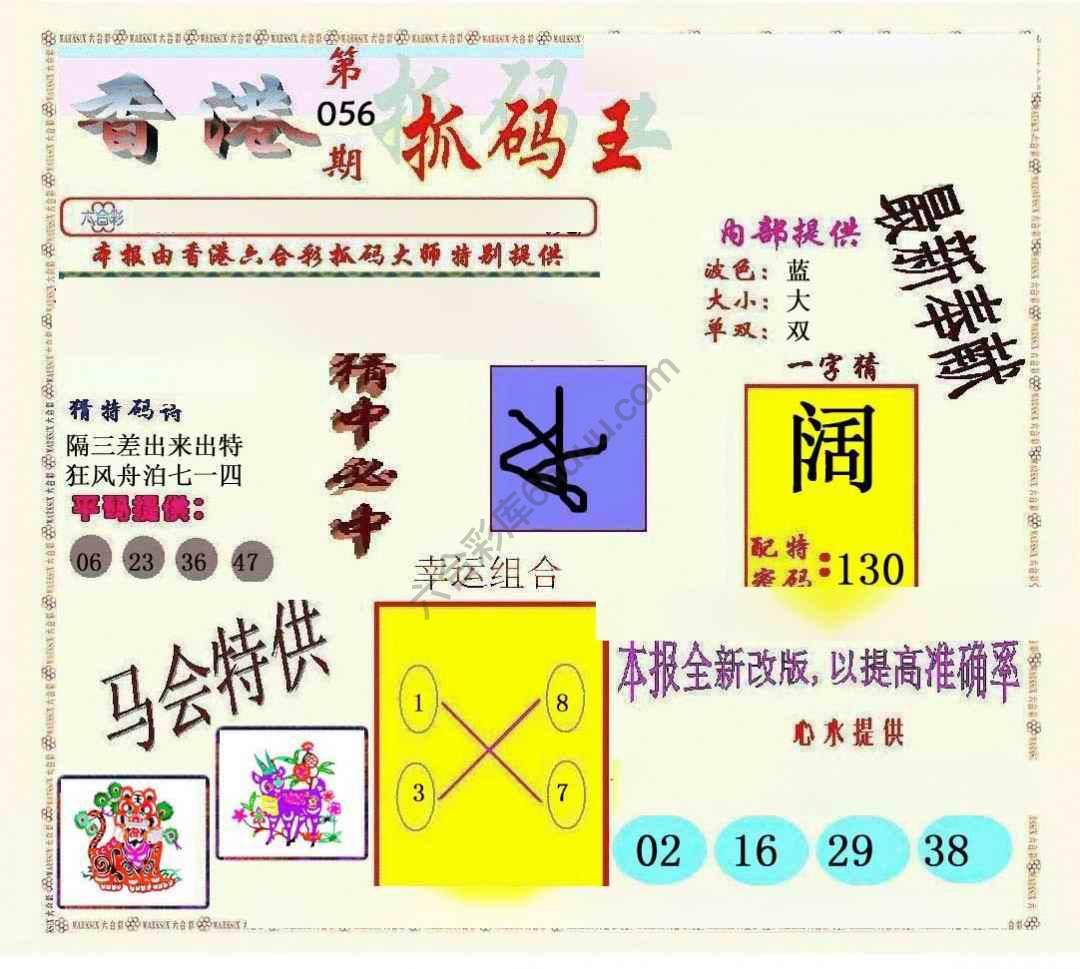 新抓码王