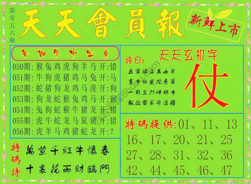 天天会员报
