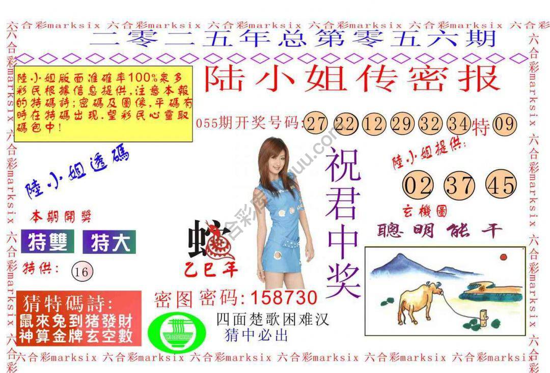 陆小姐传密
