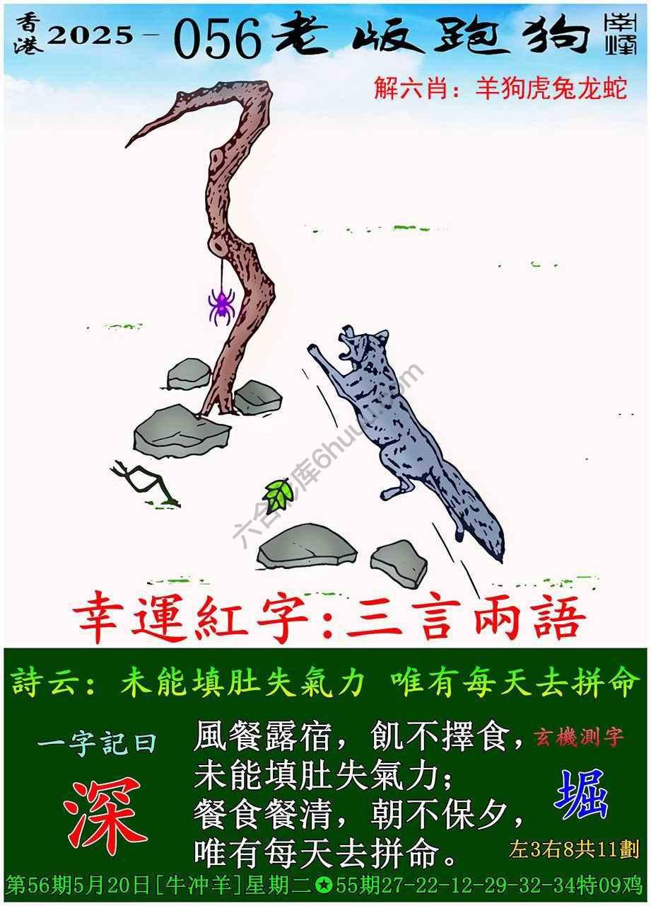 老版跑狗图
