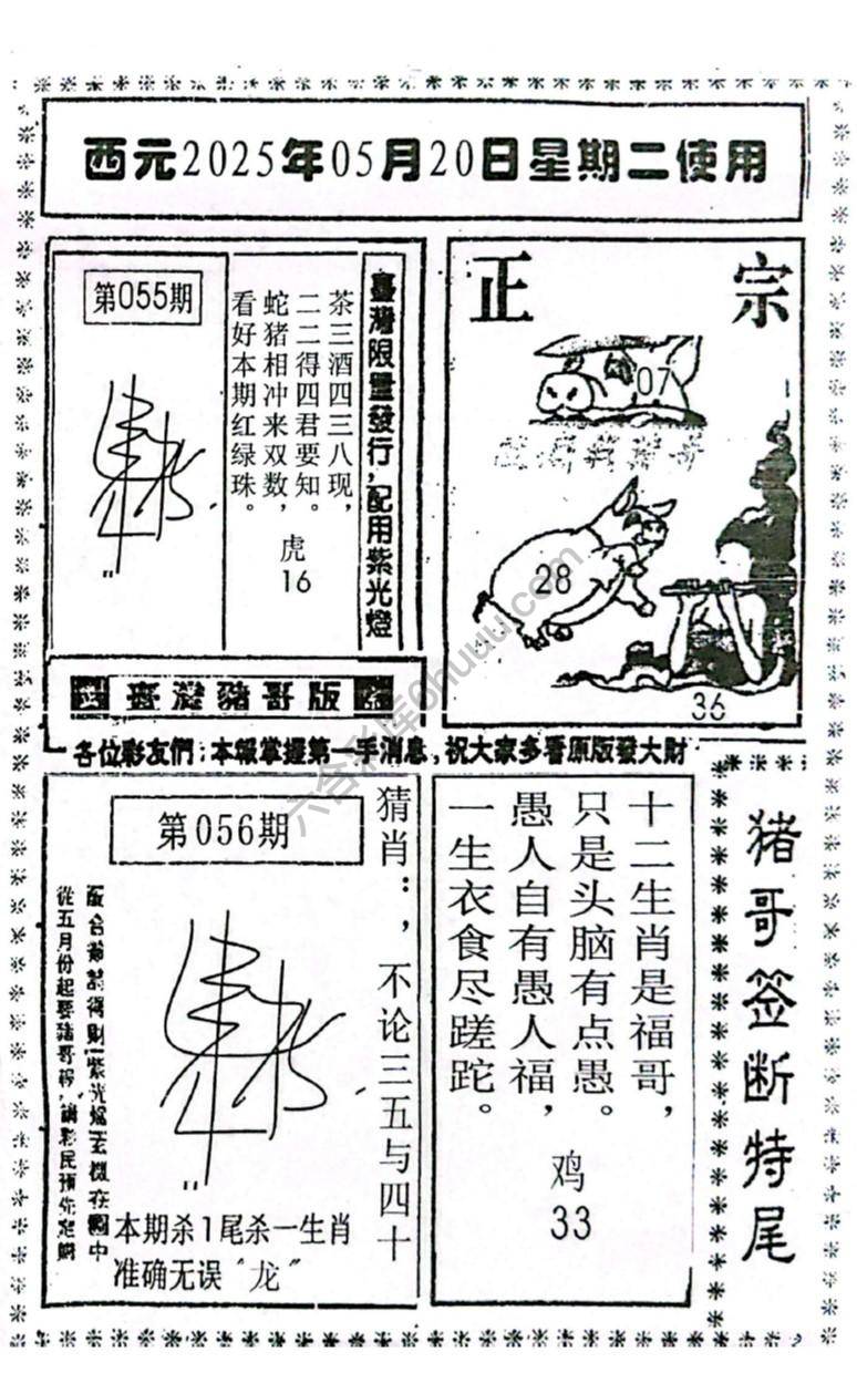 猪哥签断特尾