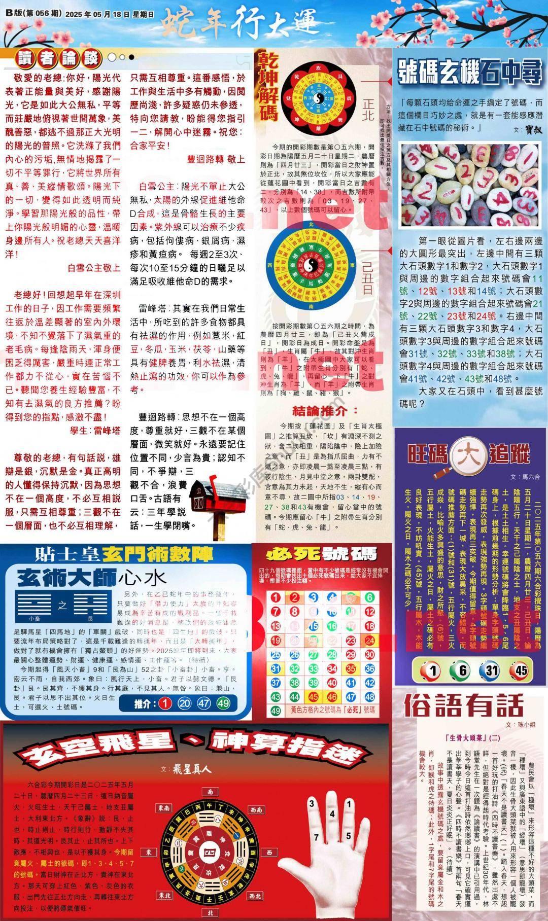 大版贴士皇