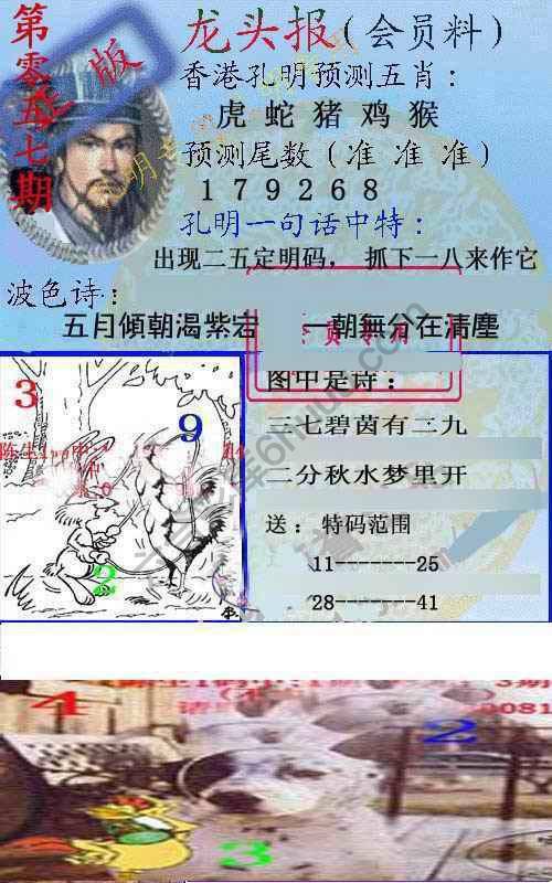 龙头报