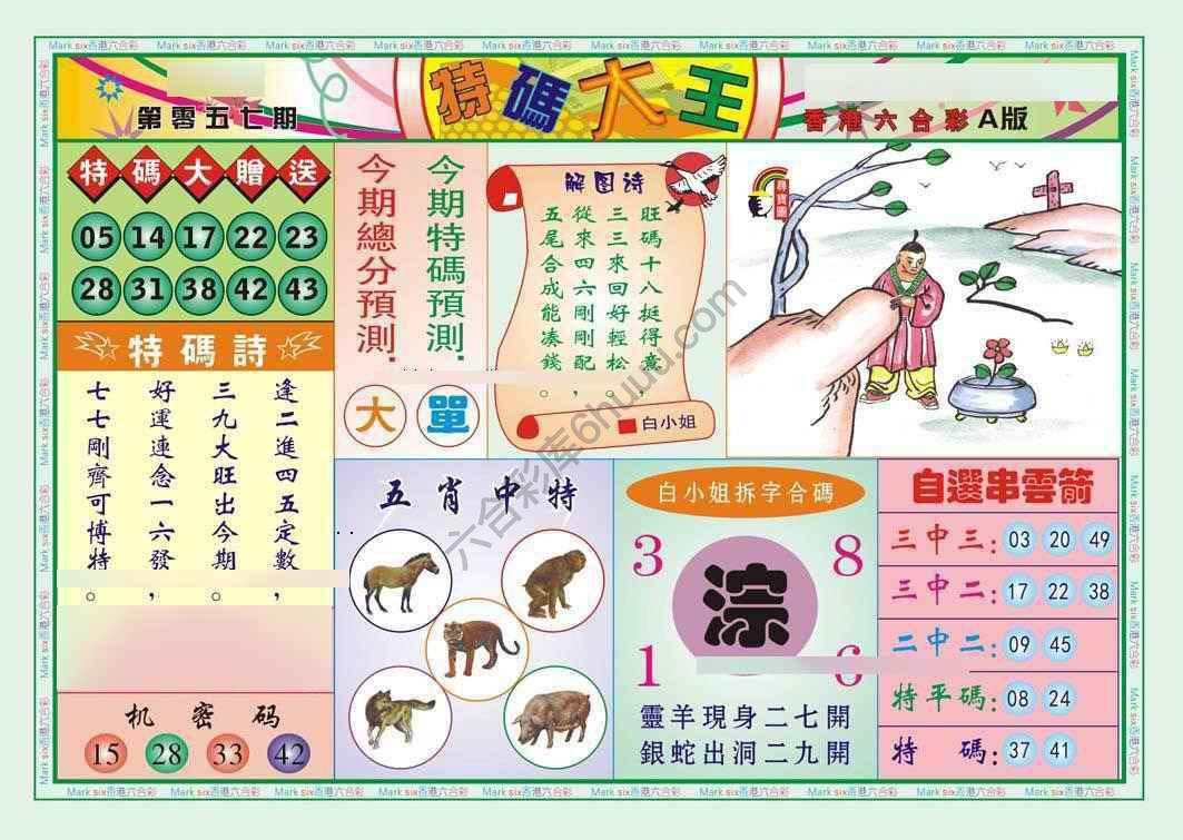 特码大王