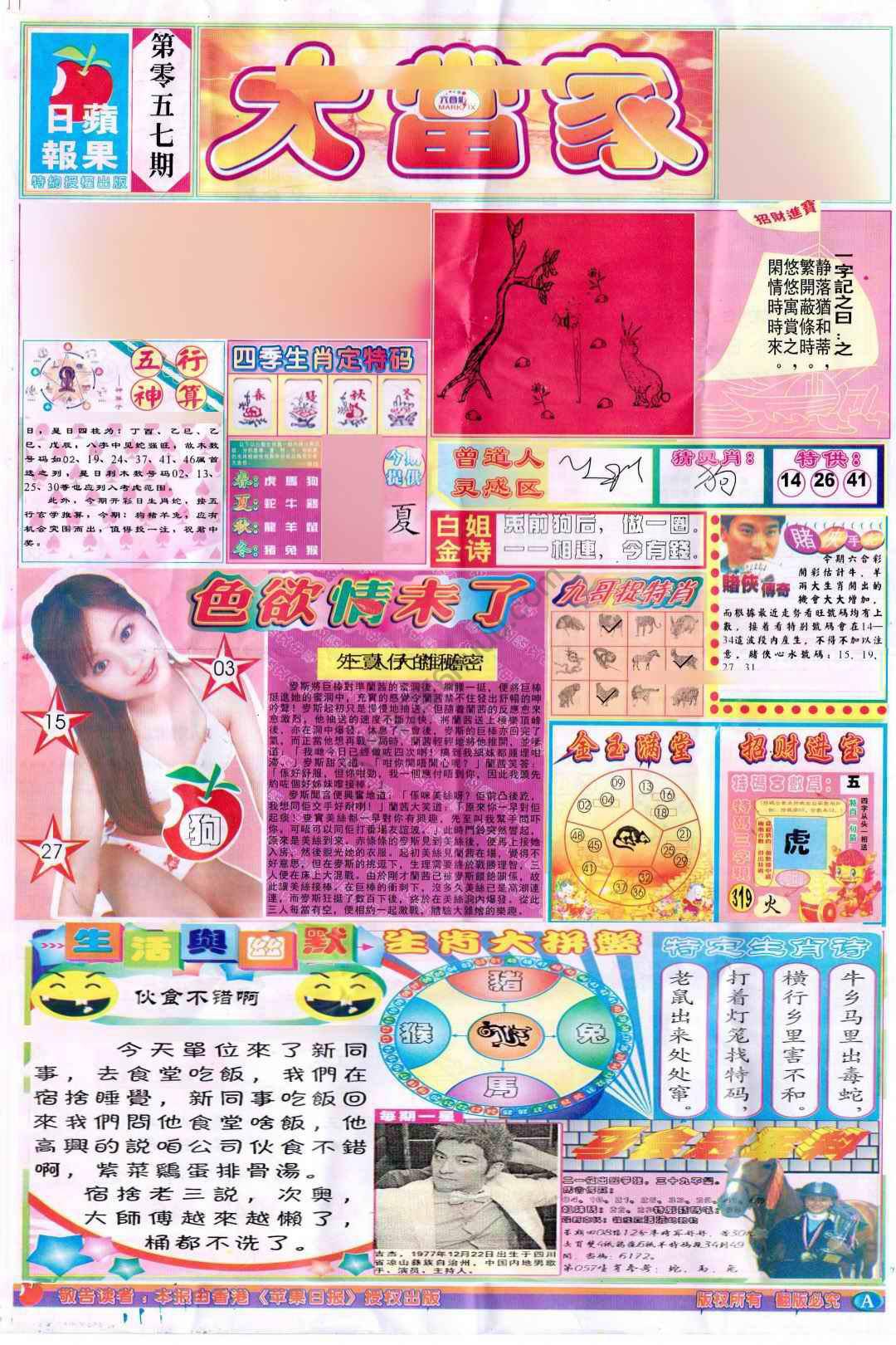 大当家