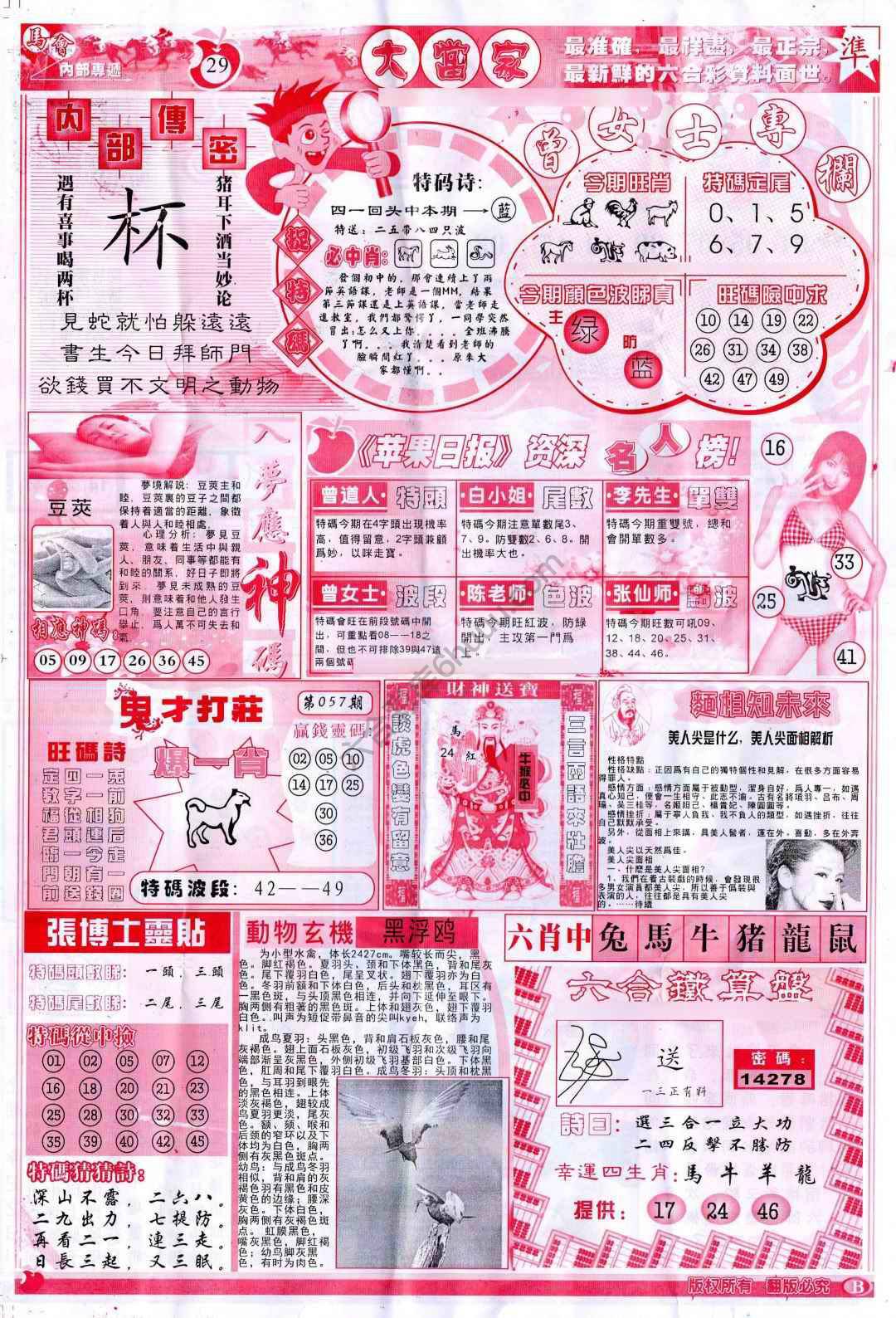 大当家