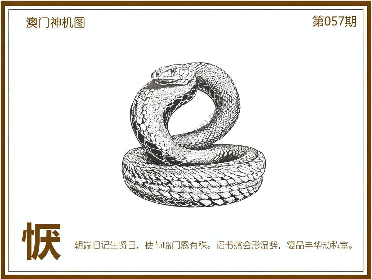 澳门神机图