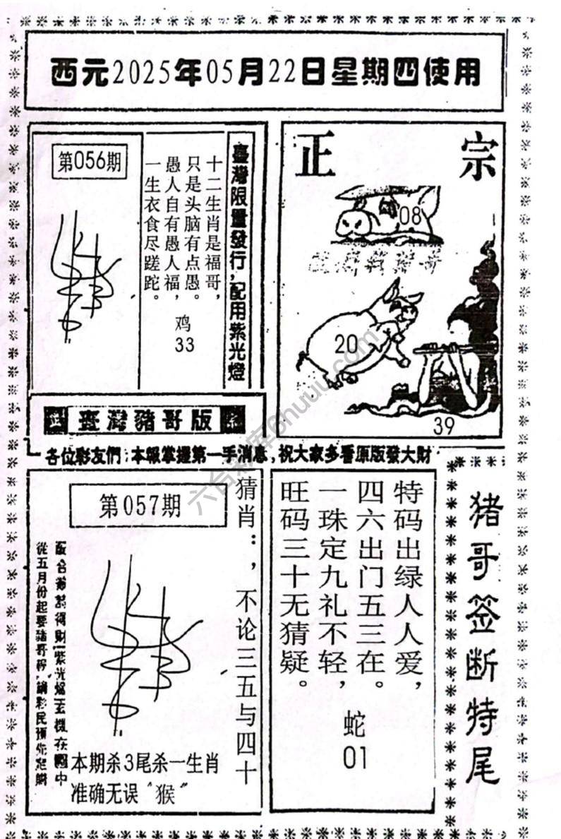 猪哥签断特尾