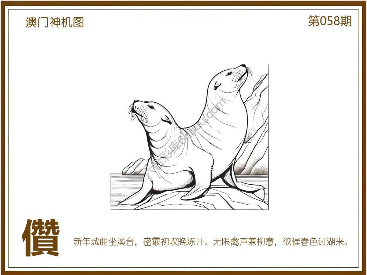澳门神机图