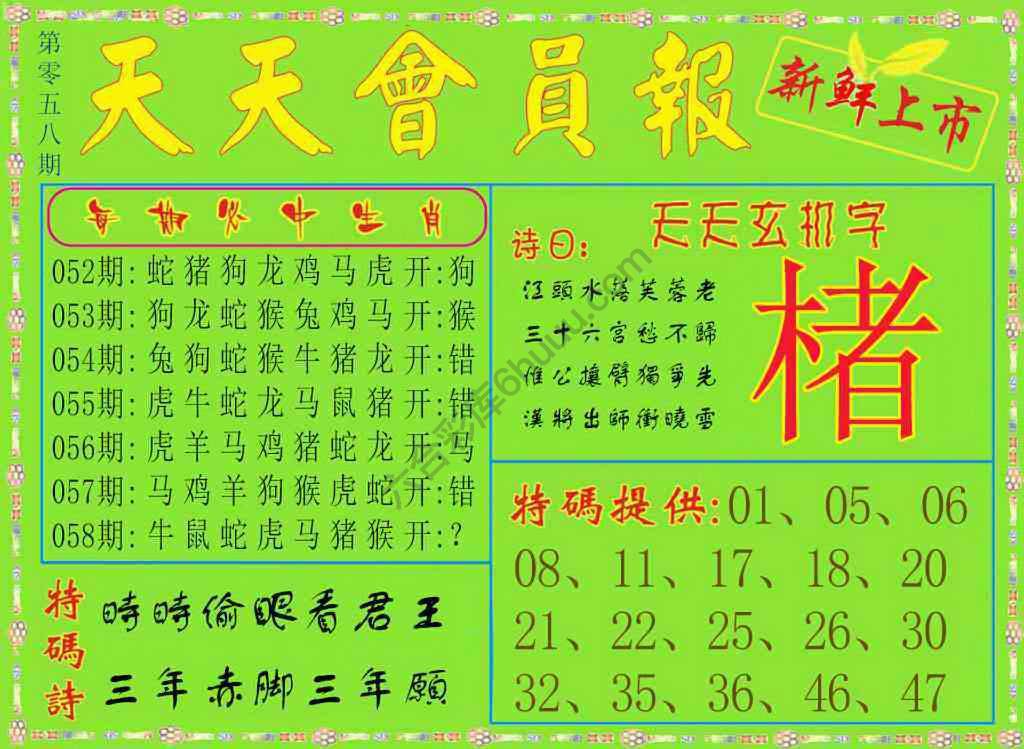 天天会员报