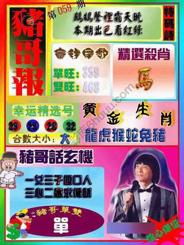 猪哥报